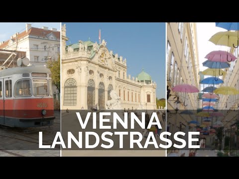 Highlights of the Vienna