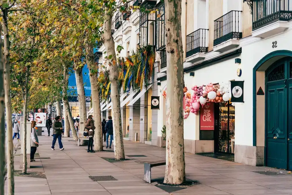Onde ficar em Madri: melhores áreas e guia de hotéis 🇪🇸 26 Onde ficar em Madri: melhores áreas e guia de hotéis 🇪🇸 25