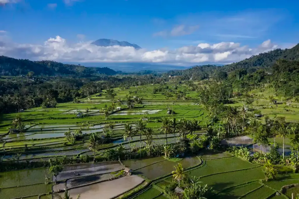 Wo kann man auf Bali übernachten? Die 7 besten Gegenden und Orte zum Übernachten 🇮🇩 6 Wo kann man auf Bali übernachten? Die 7 besten Gegenden und Orte zum Übernachten 🇮🇩 5
