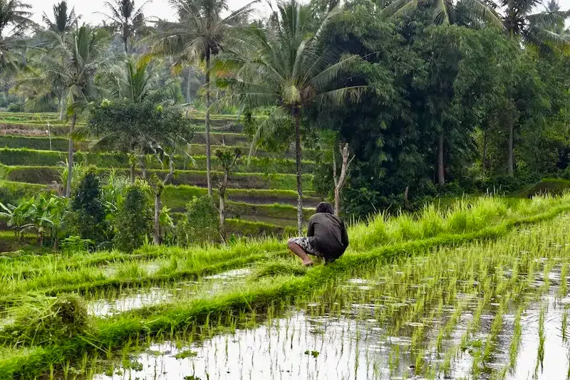 Wo kann man auf Bali übernachten? Die 7 besten Gegenden und Orte zum Übernachten 🇮🇩 124 Wo kann man auf Bali übernachten? Die 7 besten Gegenden und Orte zum Übernachten 🇮🇩 123