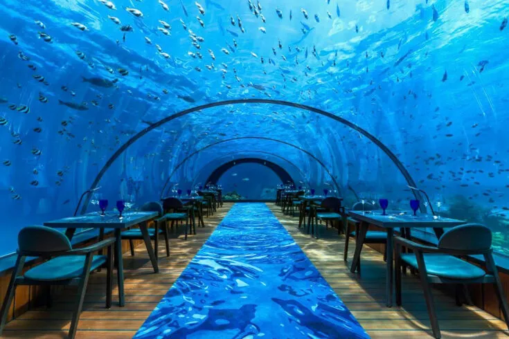 21 Melhores Resorts nas Maldivas para Férias de Casais 🇲🇻 64 21 Melhores Resorts nas Maldivas para Férias de Casais 🇲🇻 63