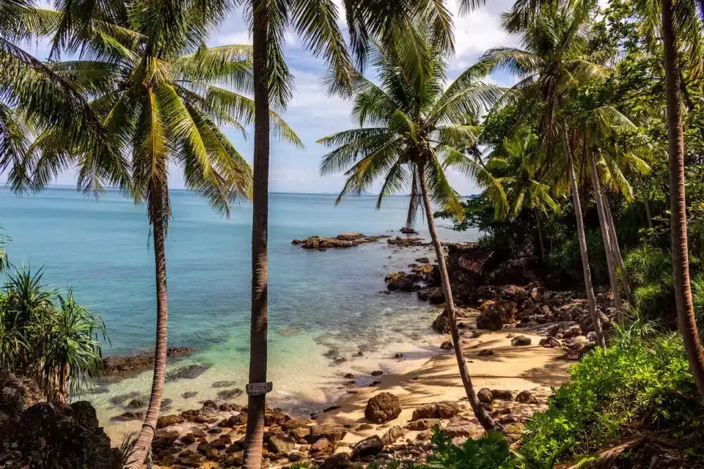 Where to stay in Krabi? The 6 best areas and places to stay 🇹🇭 2 In Krabi finden Sie sowohl die bekannten, touristisch geprägten Urlaubsgebiete als auch kleine, unberührte Juwelen.