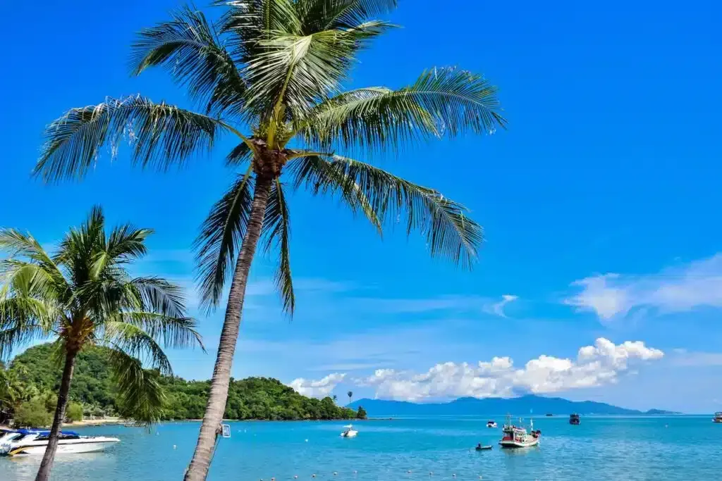 Where to stay in koh samui? The 5 best areas and places to stay (and avoid!) 🇹🇭 36 Wo kann man auf Koh Samui übernachten? Die 5 besten Gegenden und Orte zum Übernachten (und Vermeiden!) 🇹🇭