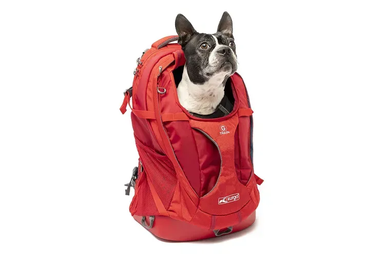 The 6 Best Dog Backpack Carriers of 2024, Tested and Rated 5