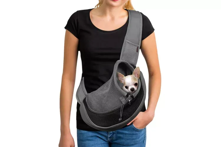 The 6 Best Dog Backpack Carriers of 2024, Tested and Rated 9