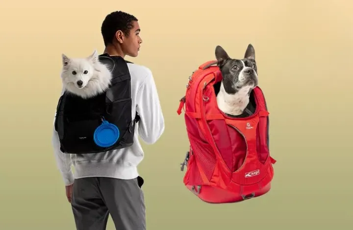 The 6 Best Dog Backpack Carriers of 2024, Tested and Rated 1