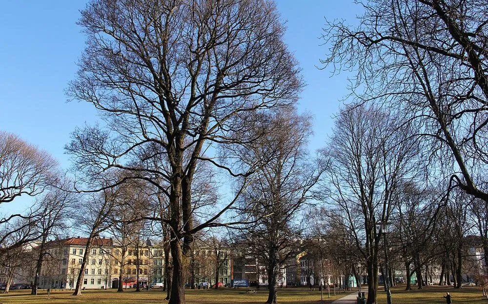 Unterkunft in Oslo: Die 6 besten Gegenden für Touristen 🇳🇴 12 Unterkunft in Oslo: Die 6 besten Gegenden für Touristen 🇳🇴 11
