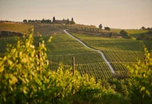 Where to Stay in Tuscany 🇮🇹: 15 Best Areas and Places 23